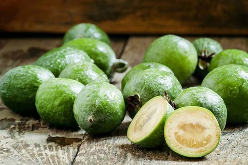 How to Grow Guava