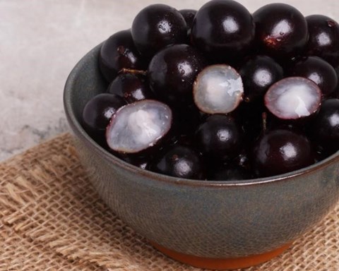 How to Grow Jaboticaba