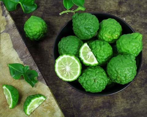 How to Grow Kaffir Lime