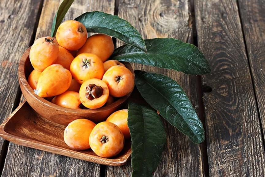 How to Grow Loquat