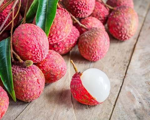 How to Grow Lychee