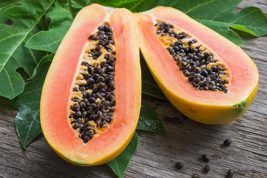 How to Grow Paw paw