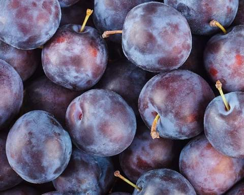 How to Grow Plum