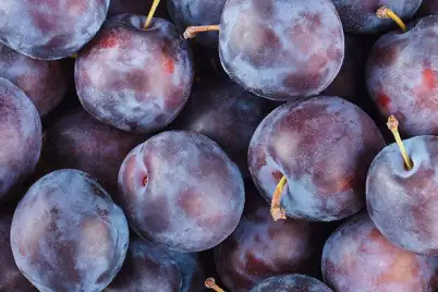 Plum