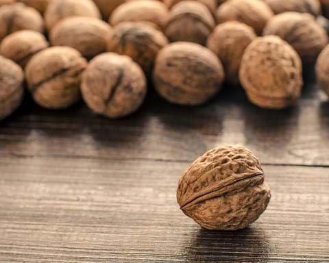 How to Grow Walnut