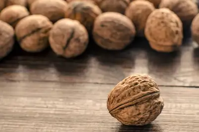 Walnut