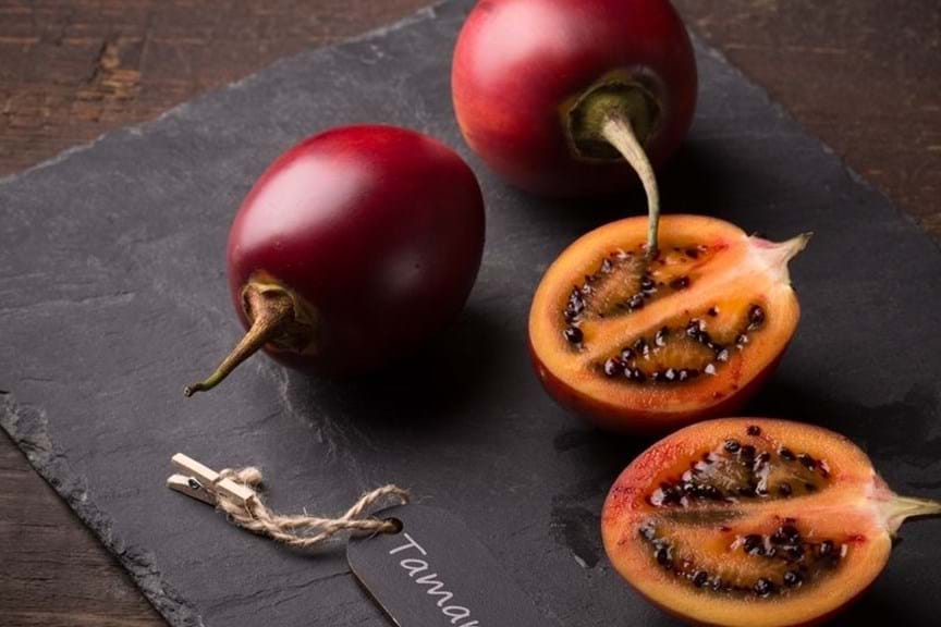 How to Grow Tamarillo