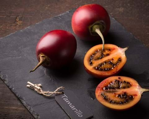 How to Grow Tamarillo