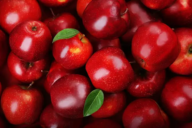 how to grow apple 4