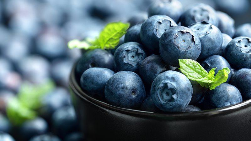 how to grow blueberries 2