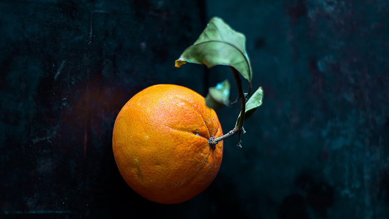 how to grow oranges 2