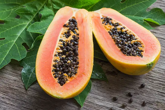 how to grow paw paw 2