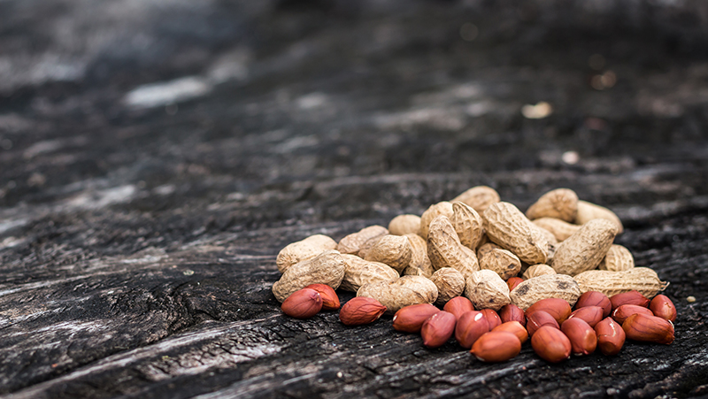 how to grow peanuts 3