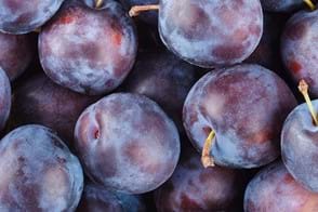 how to grow plums 2