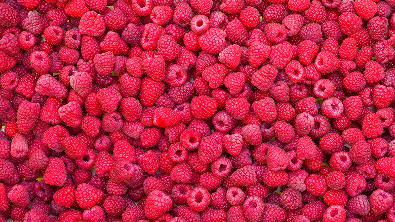 how to grow raspberry 3