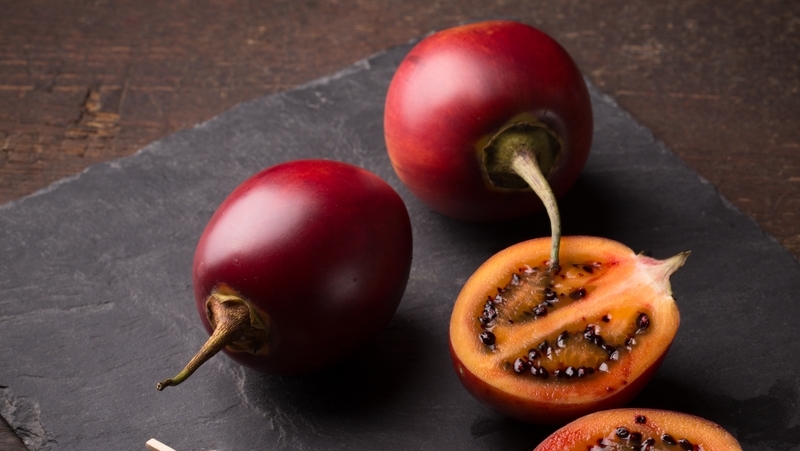 how to grow tamarillo 2