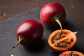 how to grow tamarillo 2