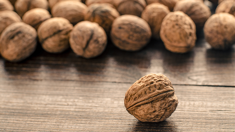how to grow walnut 2