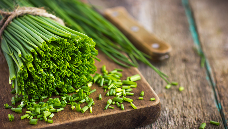 how to grow chives 3