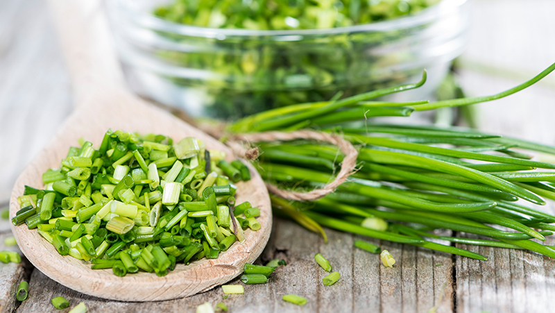 how to grow chives 2