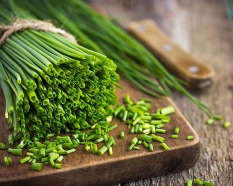 How to Grow Chives