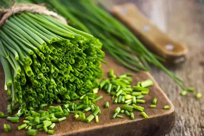Chives