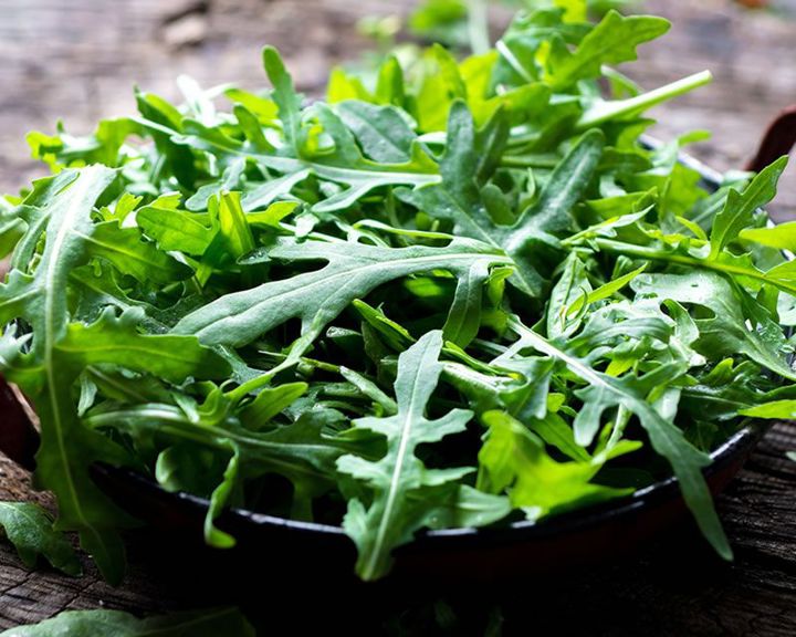 How to Grow Rocket | Yates Australia