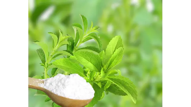 How to Grow Stevia