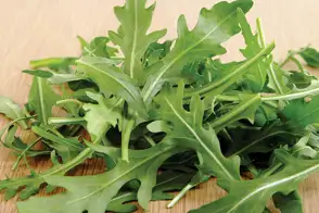 how to grow rocket 2