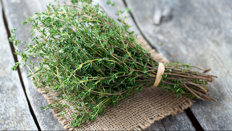 How To Grow Thyme