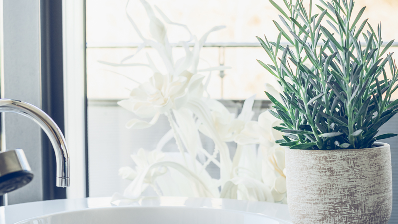 how to grow blue chalk sticks 2