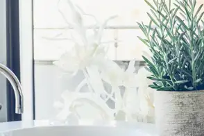 how to grow blue chalk sticks 2