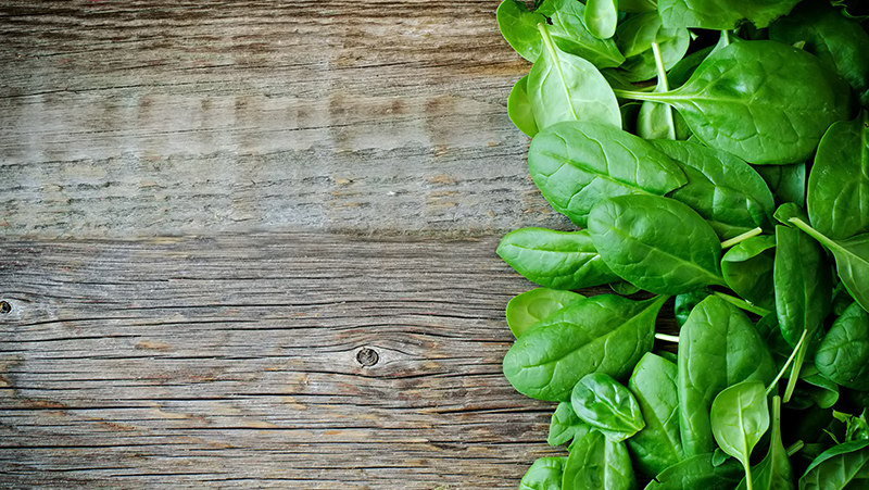 how to grow spinach 2 (1)