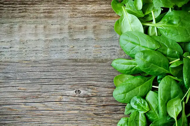 how to grow spinach 2 (1)