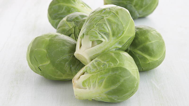 how to grow brussels sprouts 3 (1)