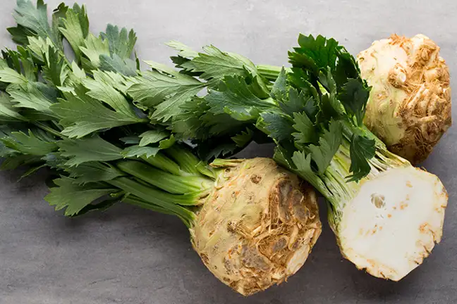 how to grow celeriac 2 (1)