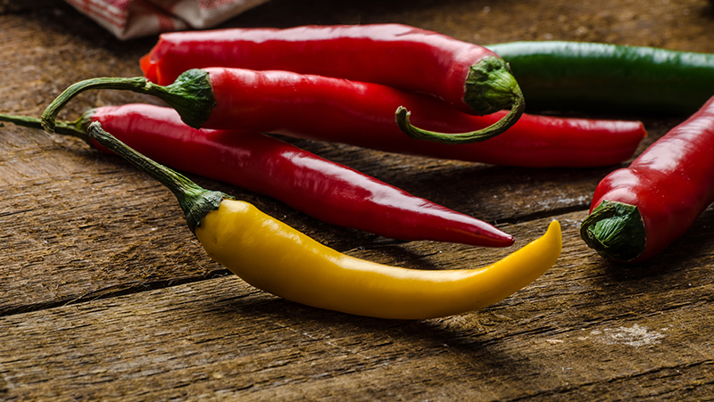 how to grow chillies 3 (1)