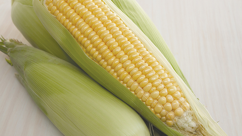 how to grow corn 2 (1)