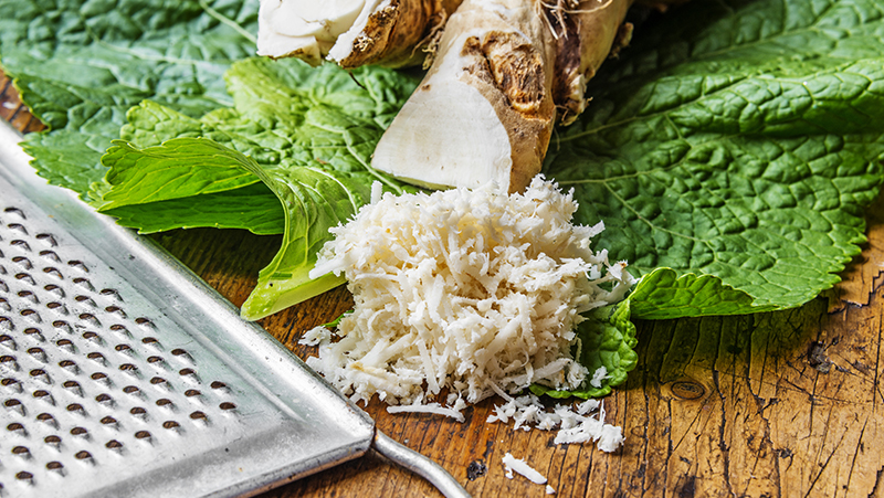 how to grow horseradish 3 (1)