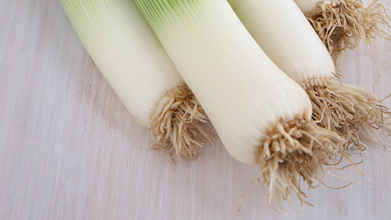 how to grow leeks 2 (1)