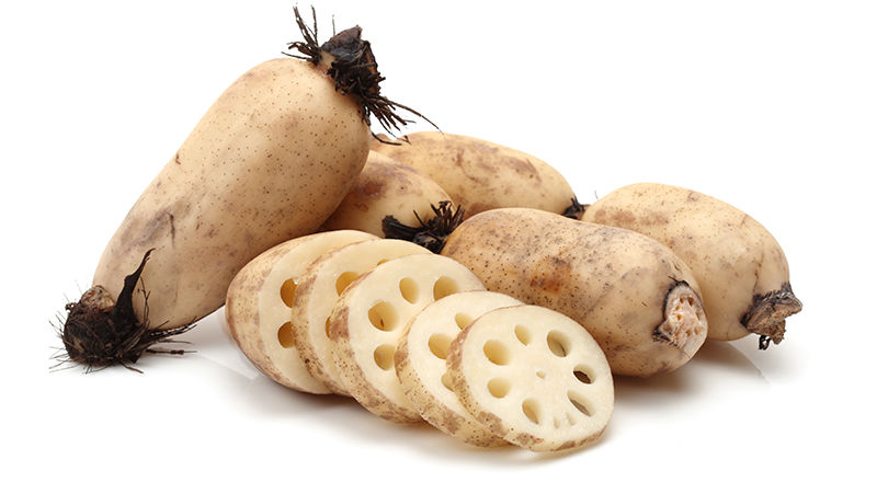 how to grow lotus 2 (1)