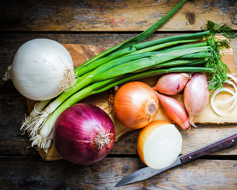 how to grow onions 3 (1)