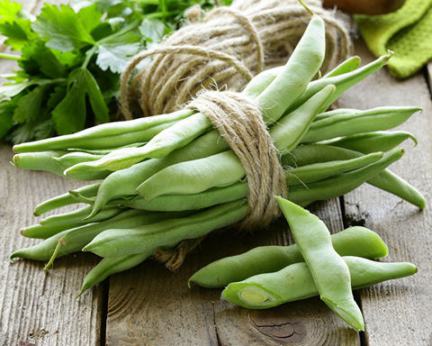 How to Grow Beans