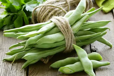 Beans