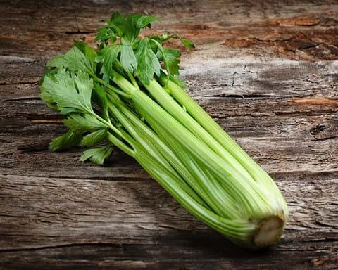 How to Grow Celery