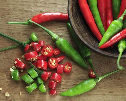 How to Grow Chillies