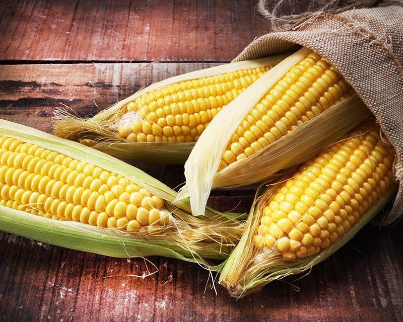 Corn