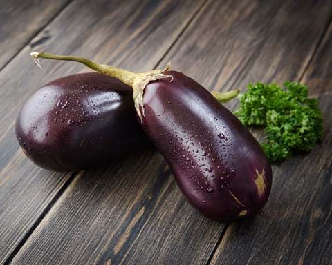 How to Grow Eggplant