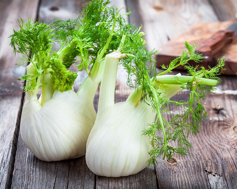 Fennel