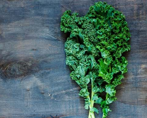 How to Grow Kale